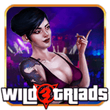 Tombol Link Login Situs Slot88 Online Gacor Terbaik 2026 Wild Triads